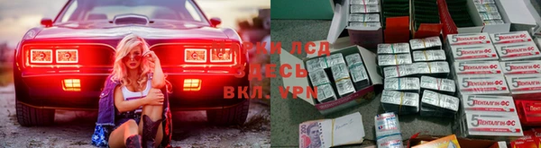 мяу мяу мука Бородино