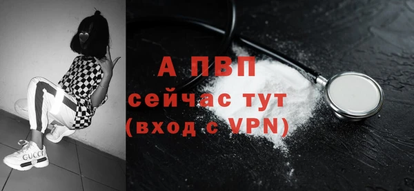 мяу мяу мука Бородино