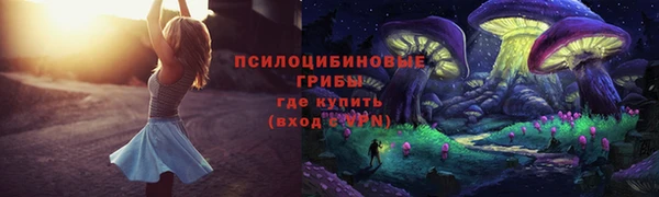мяу мяу мука Бородино