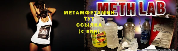 мяу мяу мука Бородино