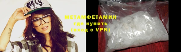дживик Туринск
